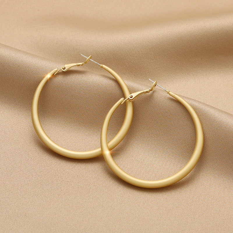 925 Sterling Silver Needle Earrings Female Temperament Hypoallergenic Ear Jewelry